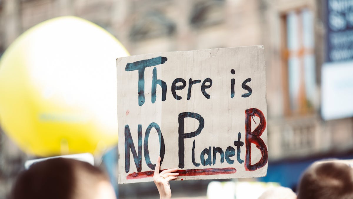 AI Environmental Approvals Risk 'Robodebt-Style' Disasters for Wildlife