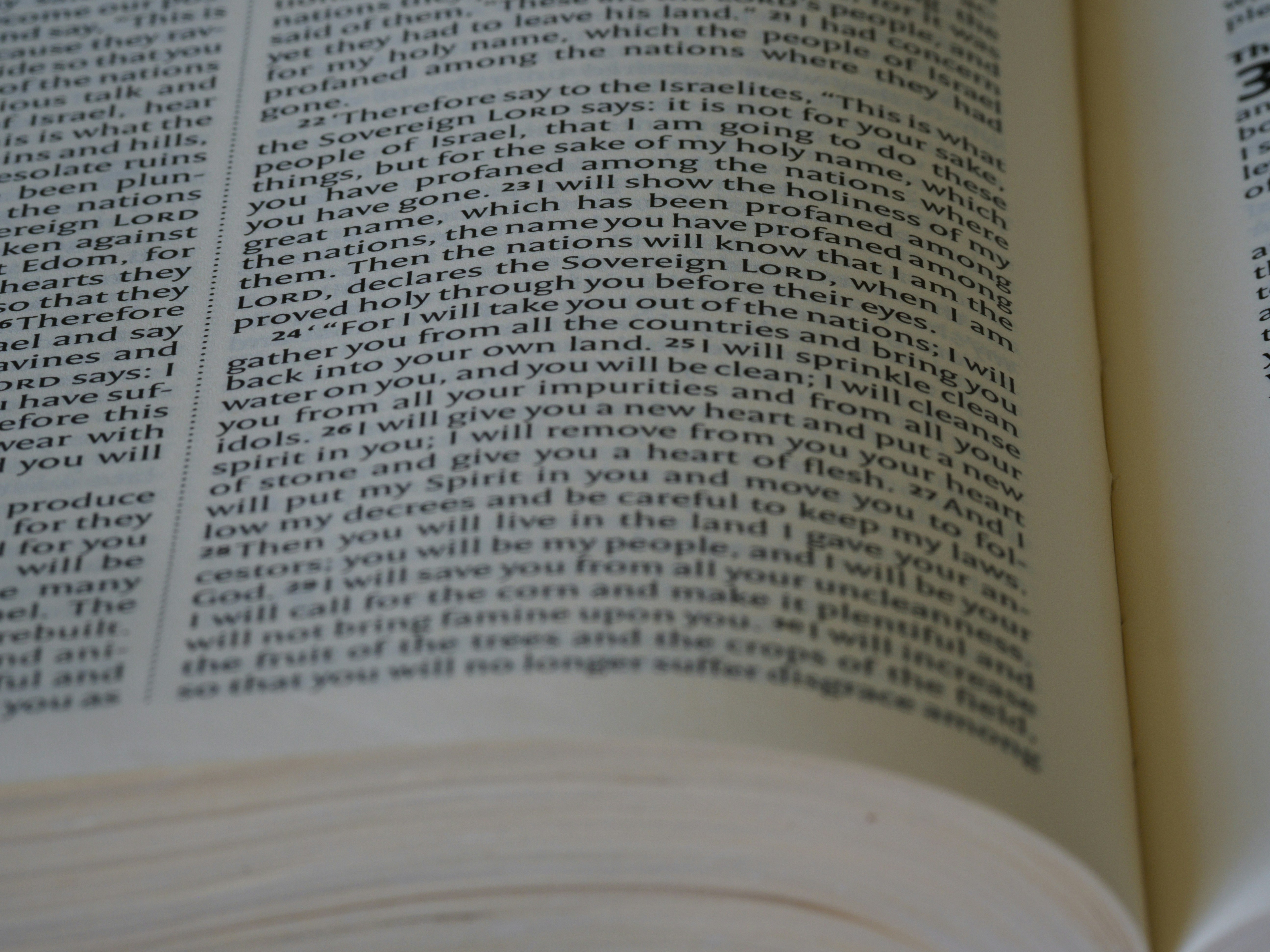 An open book with pages fading into digital distortion